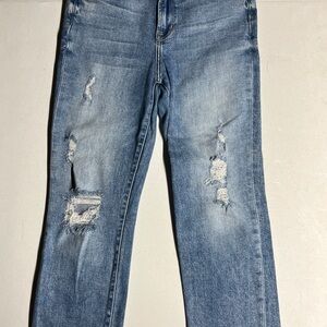 Flying Monkey Distressed Straight Leg Jeans